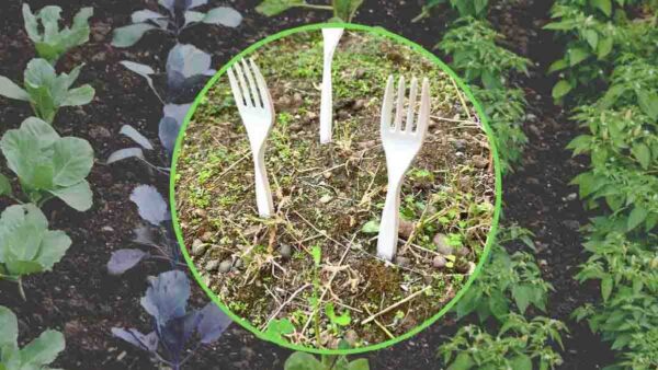 Forchette da giardino in plastica: tutti i giardinieri si stanno buttando sul carrozzone e il motivo è geniale.