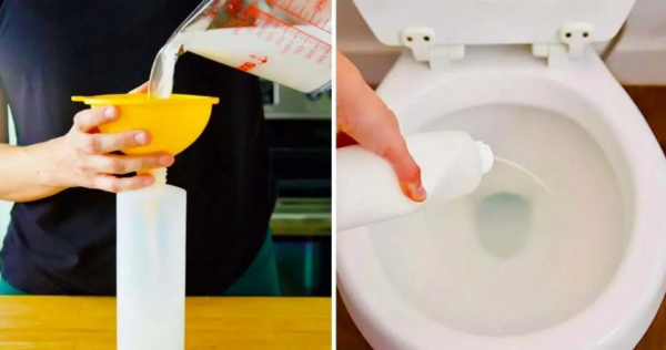 Gel da toilette fatto in casa che fa brillare il tuo WC e lascia un ottimo odore