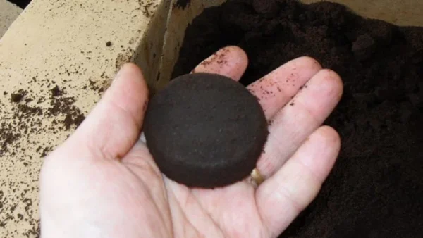 Gettare via i fondi di caffè è la cosa più stupida che si possa fare. È un aiuto inestimabile in casa e in giardino.