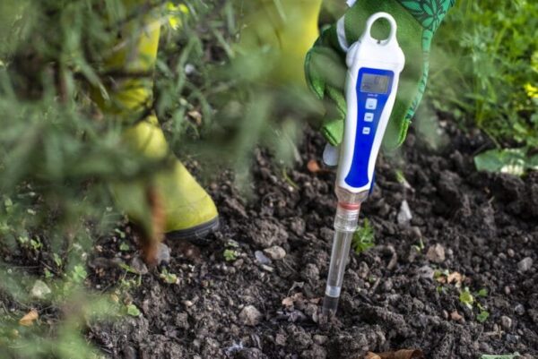 Giardino: 3 semplici consigli per determinare il pH del terreno