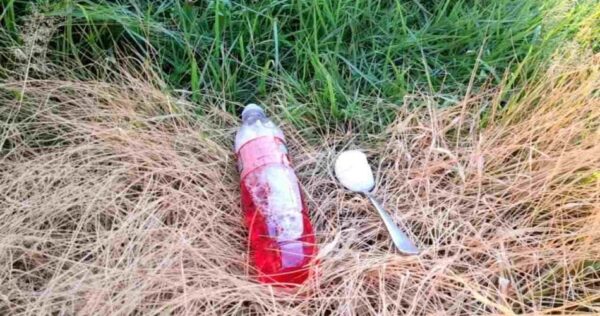 Giardino incolto, solo con questo ingrediente si eliminano tutte le erbacce e gli arbusti.