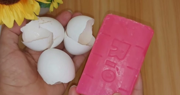 Gusci d’uovo e sapone: risparmierai un sacco di soldi facendo questo, ma non lo sapevi