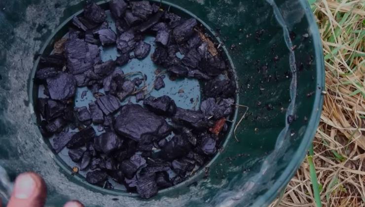 Reichhaltige und schmackhafte Ernte mit diesem Product Raccolto ricco e gustoso con questo prodotto