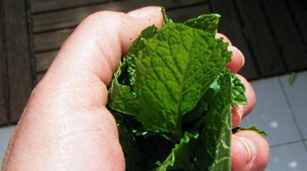 I 6 rimedi naturali della nonna contro la febbre.