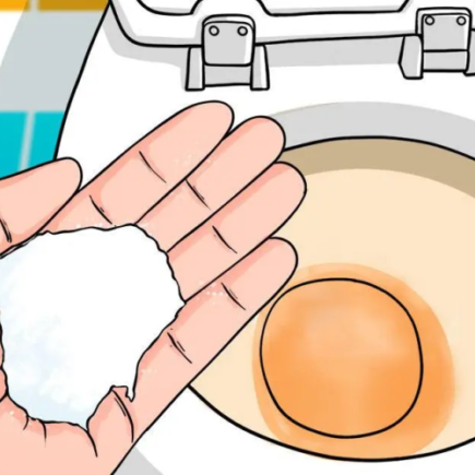 I bagni rimangono puliti e hanno un buon odore quando si scarica questa polvere nel WC.