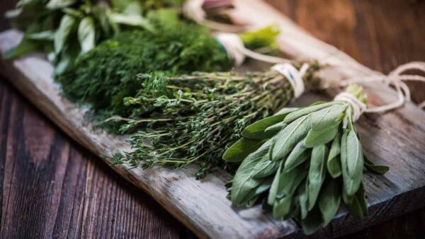 I nostri consigli super-semplici per mantenere le erbe fresche più a lungo.