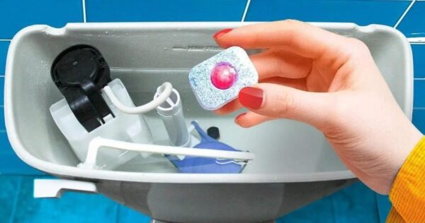 Il bagno sarà profumato per una settimana: Tutti i vostri ospiti vorranno conoscere il segreto