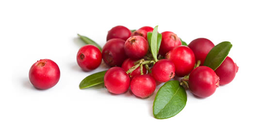 Il frutto che cura infiammazioni e influenza, migliora la vista e sbianca i denti