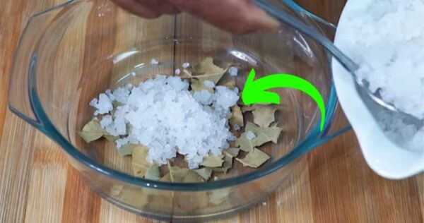 Il sale e l’alloro valgono oro in casa: i tanti utilizzi nascosti