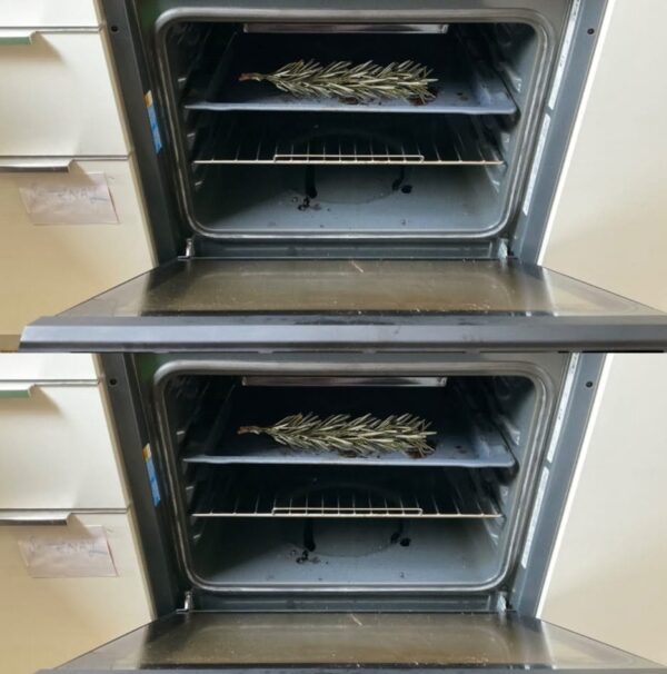 Il segreto per una fioritura rapida, forte e abbondante delle orchidee