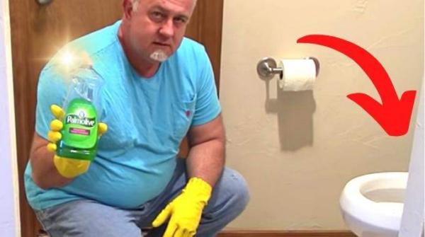Il trucco dell’idraulico di pulire la toilette con il detersivo per i piatti.
