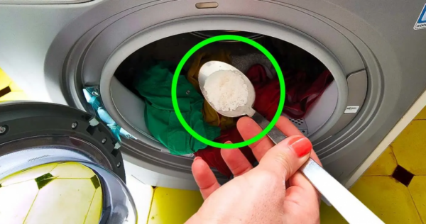 Il trucco per eliminare l’odore di muffa dalla lavatrice. I tuoi vestiti avranno un buon profumo dopo