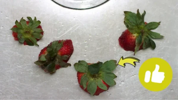In giardino o in cucina: 10 idee per riciclare i gambi delle fragole