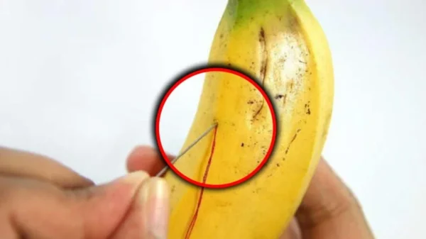Infilare un ago in una banana e vedere cosa succede: è un trucco spettacolare!