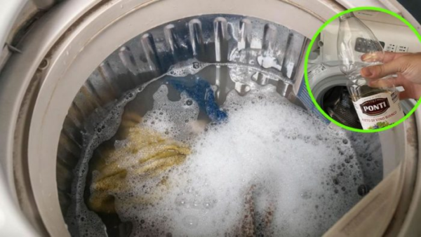 L’aceto è il trucco per avere asciugamani più morbidi, capi più bianchi e vestiti con un profumo migliore.