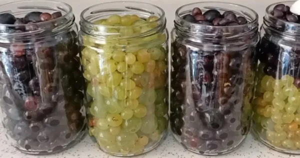 L’uva viene consumata tutto l’anno, ma non tutti conoscono questo processo.