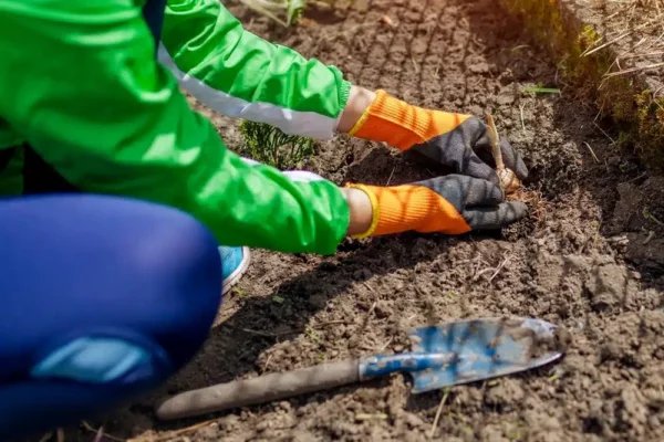 La semina invernale è il miglior trucco di giardinaggio per i più pigri