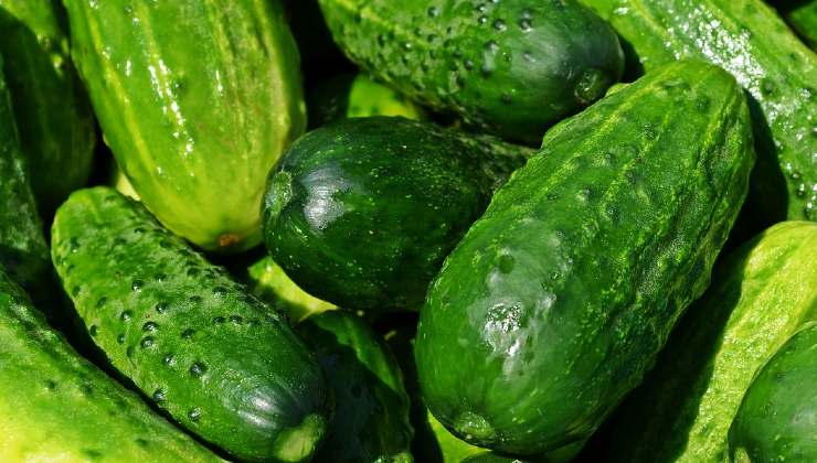 bucce di cetriolo