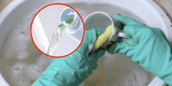 Lavare i piatti con la candeggina è una buona idea: scopri cosa succede