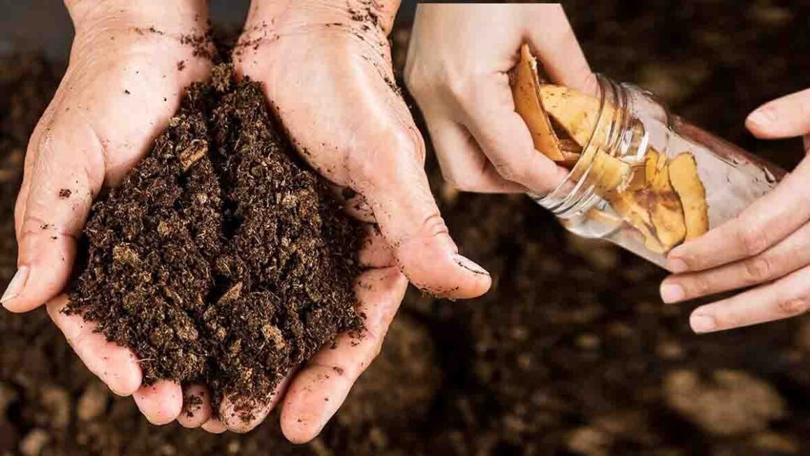 Fertilizzante Organico Per Piante - Potenziatore Radici E Crescita, 250 Ml, Per Piante Forti E Sane - Foto 6