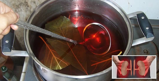 L’infuso che depura i reni, elimina i calcoli e le infezioni urinarie