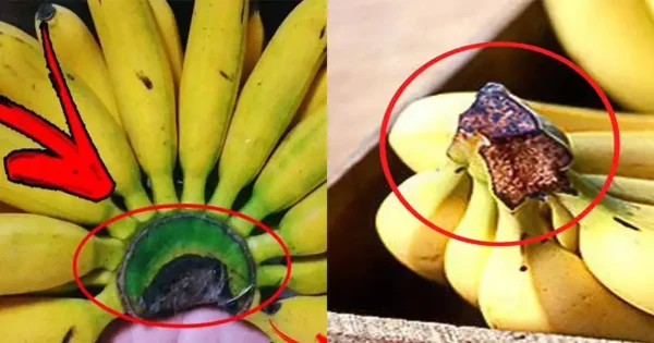 Mai buttare via questa parte della banana: Ecco perché è preziosa