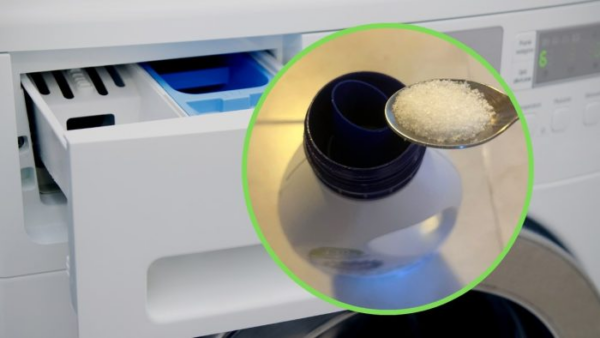 Mettere il sale nel detersivo della lavatrice, il consiglio delle nonne: succede ai vestiti