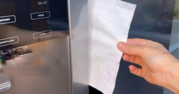 Metti un tovagliolo di carta nel frigorifero: la bolletta sta crollando e tu non lo sapevi