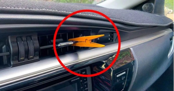 Metti una molletta sulla griglia riscaldante: il consiglio poco conosciuto ma utile