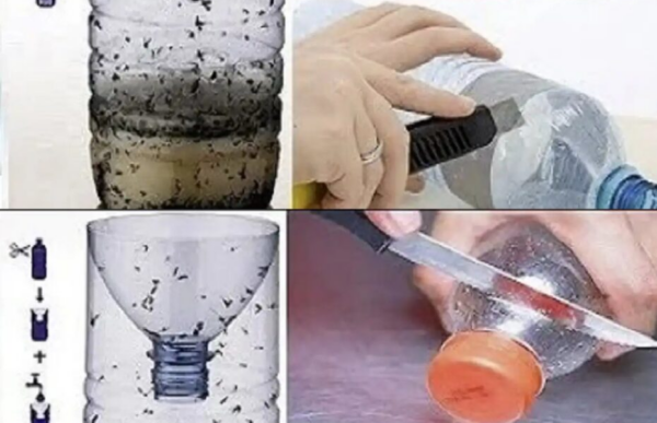 Mettilo in cucina: dopo un’ora non vedrai una mosca.