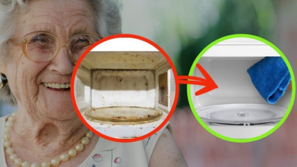 Microonde pieno di batteri, il rimedio della vecchia nonna per pulirlo senza detersivo: fatelo adesso