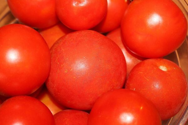 Non buttare i cespugli del raccolto di pomodori: sono troppo preziosi!