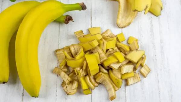 Non buttare via le bucce di banana! Trasformateli in fertilizzante per le vostre piante!