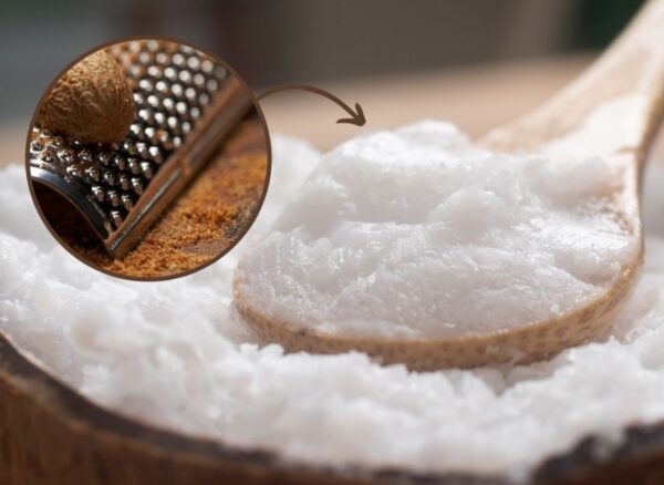 Non buttateli nella spazzatura. Scoprite cosa si può fare a casa con i semi di avocado