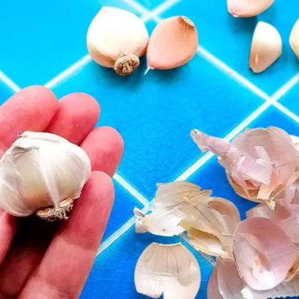 Non butto mai le bucce d’aglio nella spazzatura perché sono “dorate”: ecco come vengono riutilizzate