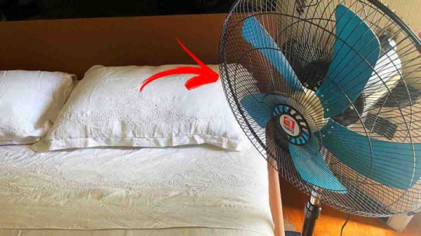 Non installare mai più il ventilatore da nessuna parte: ecco la posizione migliore per questo dispositivo