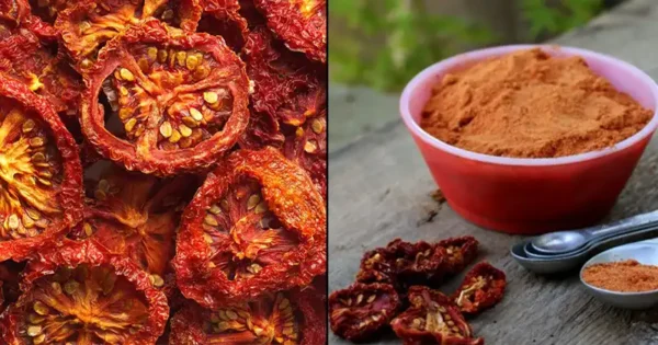 Non sprecate più i pomodori! Trasformateli in polvere di pomodoro!