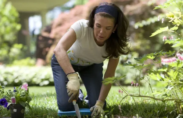 Orto all’ombra: la frutta e la verdura da piantare
