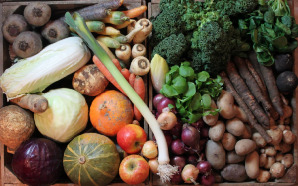 Orto: i 5 peggiori abbinamenti da evitare con le verdure