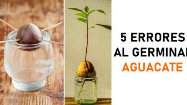 Pelle liscia e morbidissima con il tonico fai da te contro acne e rughe