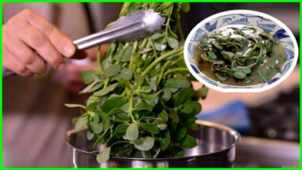 Perché dovresti avere questa pianta in giardino