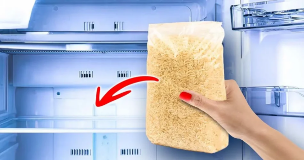 Perché dovresti mettere il riso nel frigorifero? Risolvi un problema che abbiamo tutti