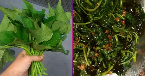 Perché non dovresti mai buttare via le foglie di patata dolce: 8 notevoli benefici per la salute delle foglie di patata dolce