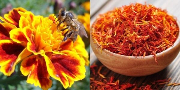 Quasi tutti hanno questi fiori arancioni in giardino: ma la gente non ha idea di cosa possano fare – io li metto alle finestre e davanti alla porta!