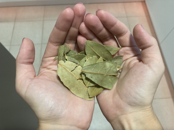 Questa pianta attira fortuna e prosperità: scoprite come sfruttare i suoi poteri!