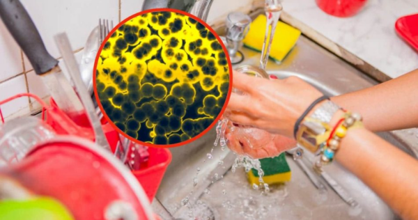 Questi sono i 5 oggetti più sporchi che hai in casa, non li pulisci mai: insospettabile