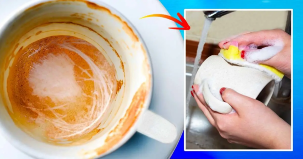 Questo trucco renderà le tue tazze come nuove: rimuovi le macchie in pochi minuti senza strofinare