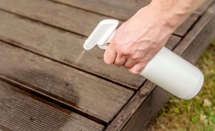 Miscela di lavanda Miscela di lavanda