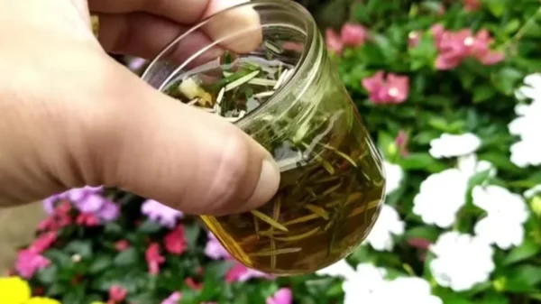 Riempite 1 tazza e farete sbocciare molti fiori nel vostro giardino e sul vostro balcone.