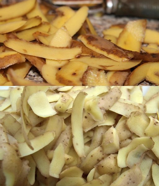 Scopri 6 sorprendenti usi delle bucce e delle fette di patate in giardino che sicuramente ti sorprenderanno